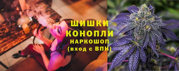 спайс Горняк