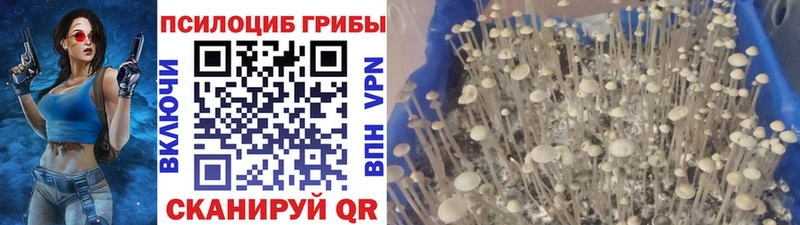 Псилоцибиновые грибы ЛСД  Симферополь 
